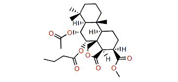 Aplyroseol 12